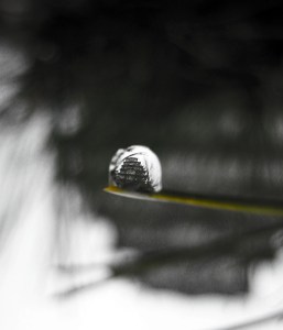 Himeji Castle in a Dewdrop