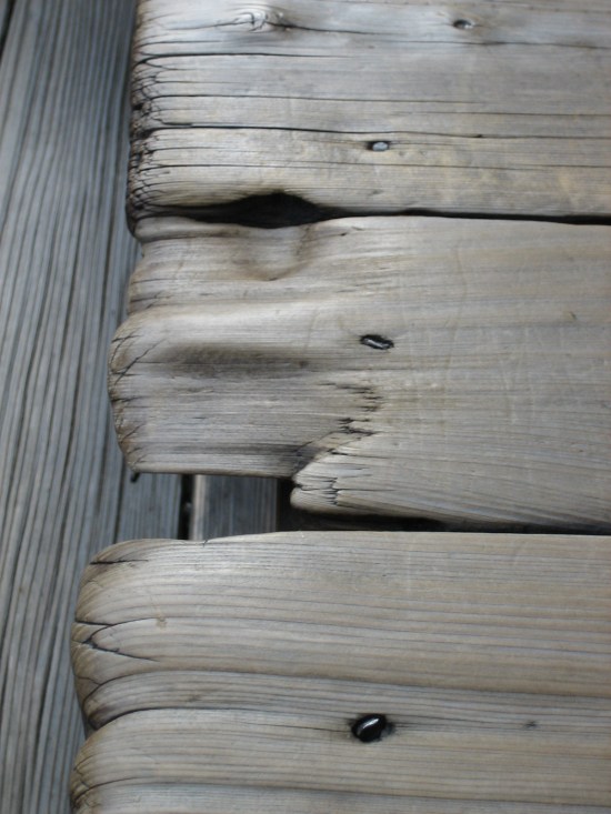 Countless Silent Footsteps